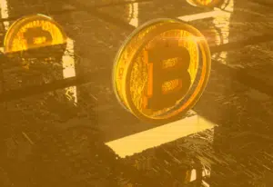 Wie viele Bitcoin gibt es