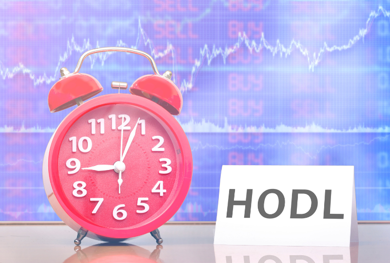 Bitcoin Hodl